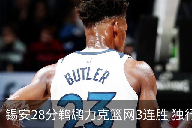 锡安28分鹈鹕力克篮网3连胜 独行侠险胜马刺